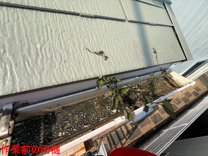土が溜まった作業前雨樋