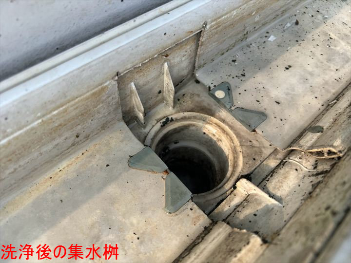 清掃後の集水桝