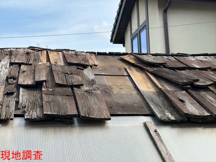 現地調査