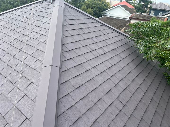 屋根全体の調査状況