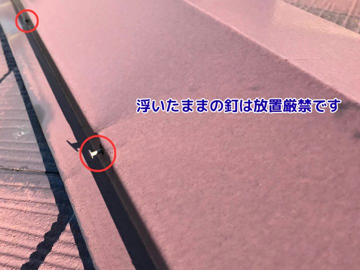 浮いたままの釘は放置厳禁です
