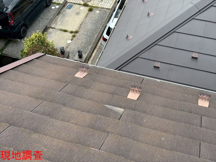 現地調査