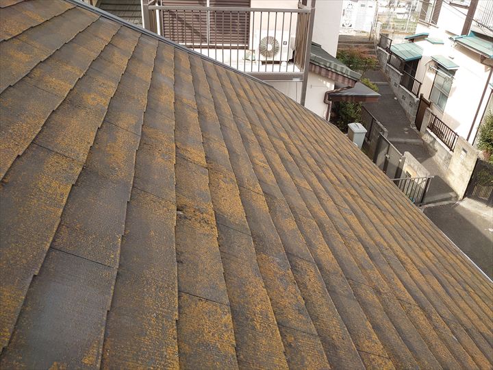苔が広がる屋根面