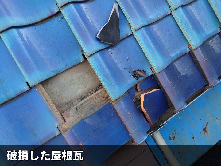 破損して欠けた青い瓦