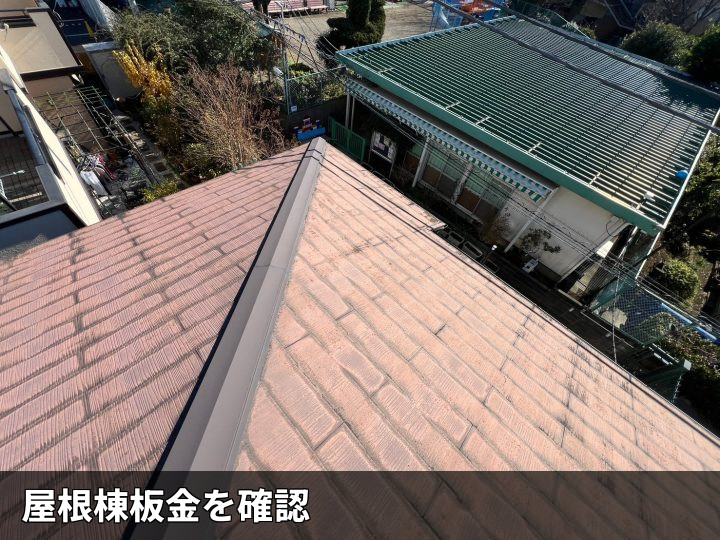 棟板金と屋根全景