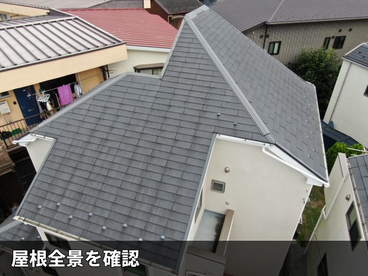 屋根全体の調査風景