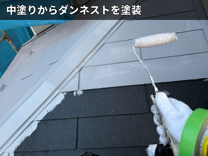 ダンネスト中塗り