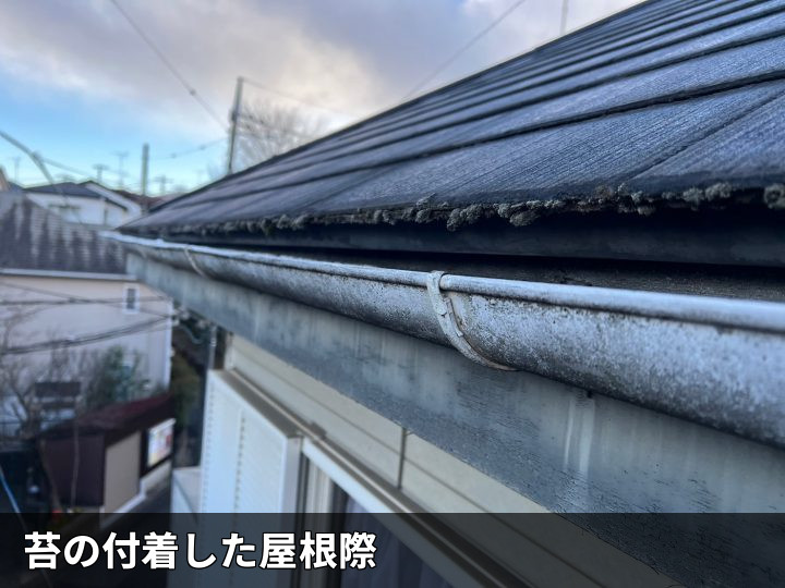 軒先に付着した苔