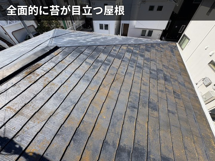 苔が広がる屋根全景