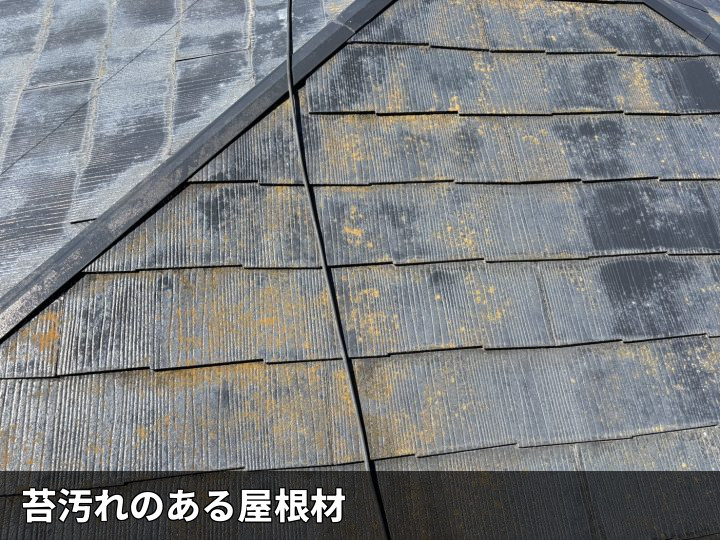 苔汚れが広がる屋根