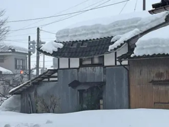 雪が積もっている瓦屋根