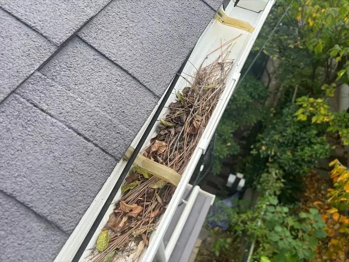雨樋に滞留している落ち葉とゴミ