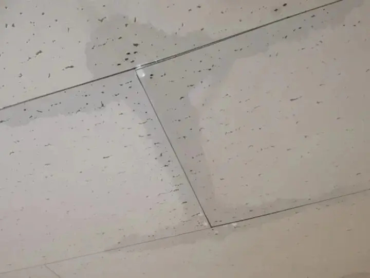 天井のつなぎ目から水が滴る様子
