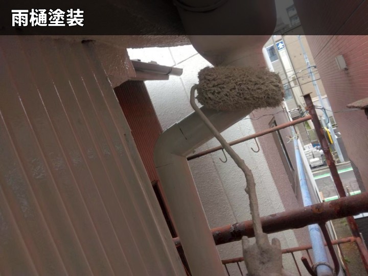 雨樋の塗装作業