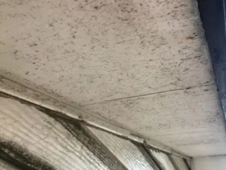 ポツポツと広がる軒天の黒ずみ