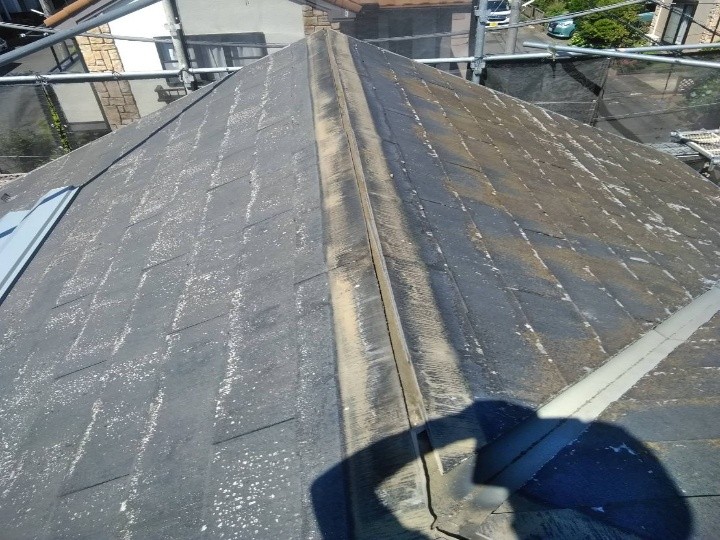 撤去前の棟板金全体
