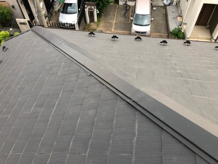 屋根全体と棟板金