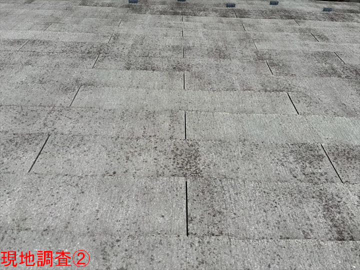 白化した屋根材の表面
