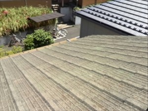 神奈川区でセメント瓦の雨漏りを点検！