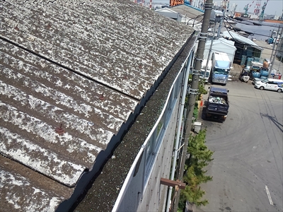 金沢区の大波スレート補修工事　雨樋に溜まった土