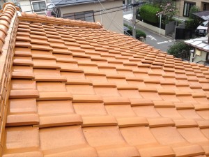 横浜市泉区　IMG_1581_R