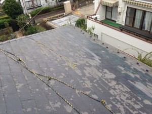 横浜市瀬谷区　IMG_1858_R