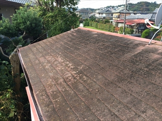 屋根①