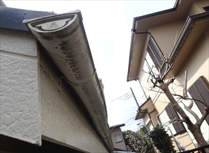 横浜市泉区　P3141187_R