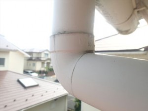 横浜市泉区 P9060226_R