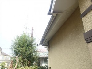 横浜市泉区 P9060230_R