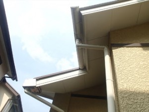 横浜市泉区 P9060231_R