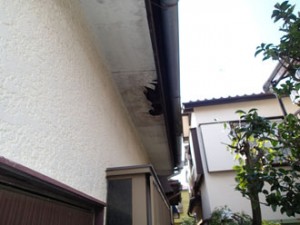 横浜市泉区　PA180096