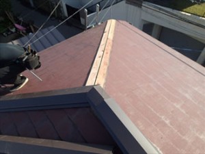 横浜市保土ケ谷区 PB050223_R