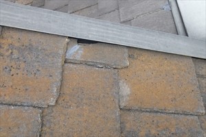 鎌倉市　アーバニー　苔