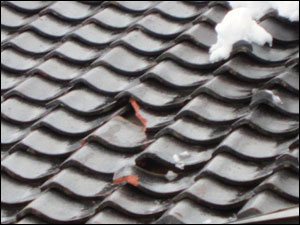 降雪による屋根被害にご注意ください！
