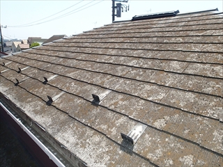 あざみ野P6013362.JPG