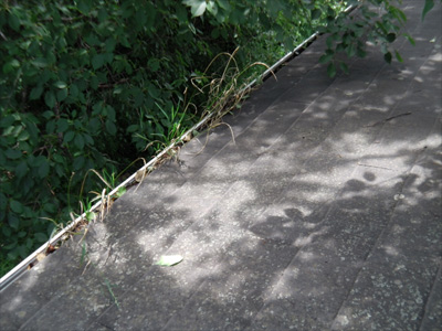 旭区IMGA0154.JPG