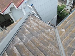 磯子区IMG_1022.JPG