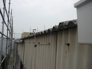 雨樋外れ.jpg