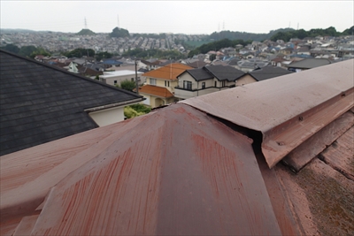 栄区P6263740.JPG