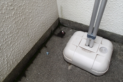 栄区P6263756.JPG