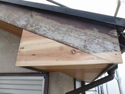 横浜市旭区　屋根カバー工事　外装塗装工事 (2).JPG