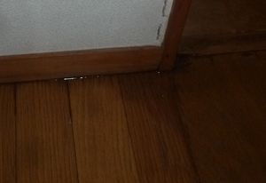 横浜市栄区　雨漏り　棟板金工事2.JPG