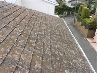 青葉区｜屋根カバー工事の点検