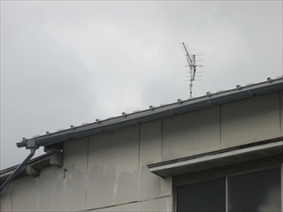 下野町IMG_0707.JPG