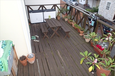 茅ヶ崎P7234174.JPG