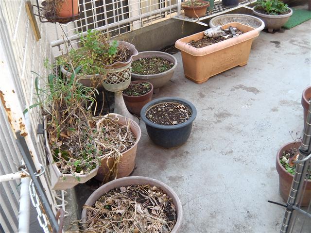 菊名点検 (3).jpg