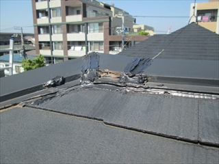 宮前区IMG_1511.JPG