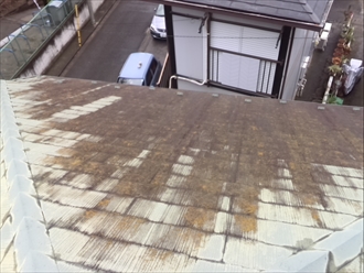 金沢区‐カバー006.JPG