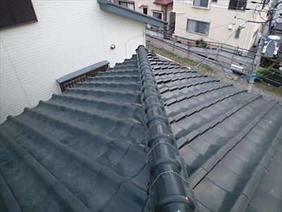 戸塚P2050502.JPG